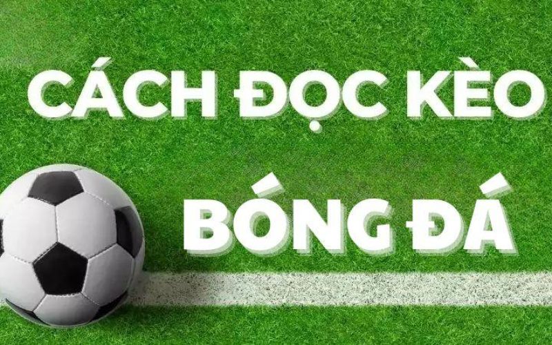 Cách đọc kèo chấp 0.25 chính xác Cách đọc kèo chấp 0.25 chính xác